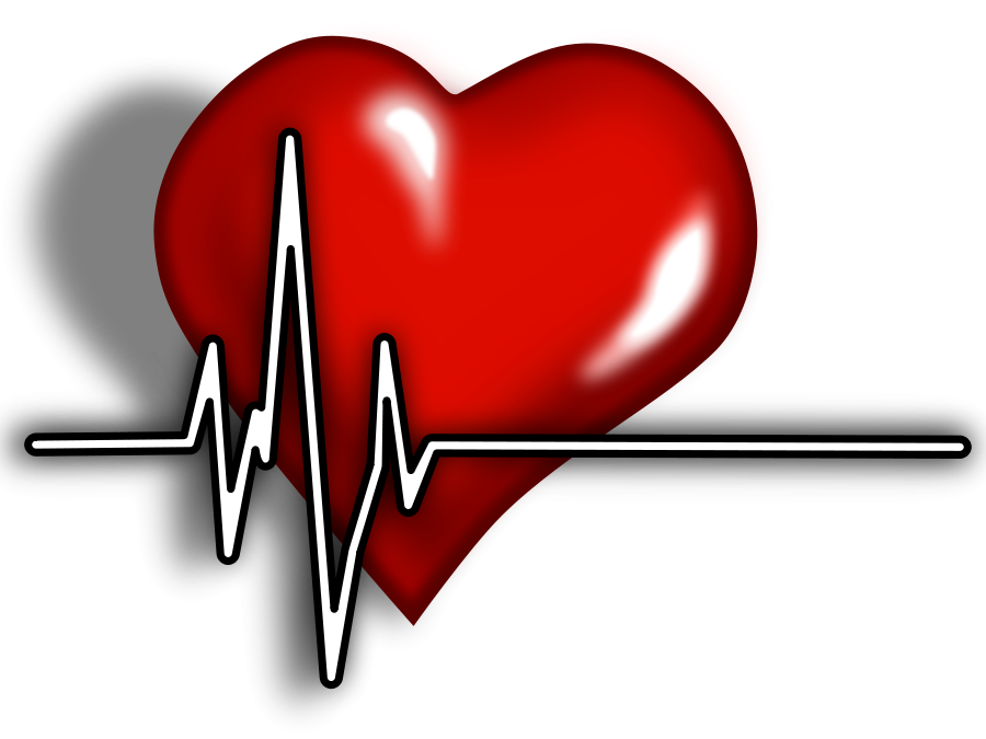 free heart monitor clipart - photo #40